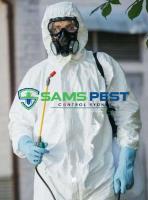 SAMS Wasp Removal Sydney image 7